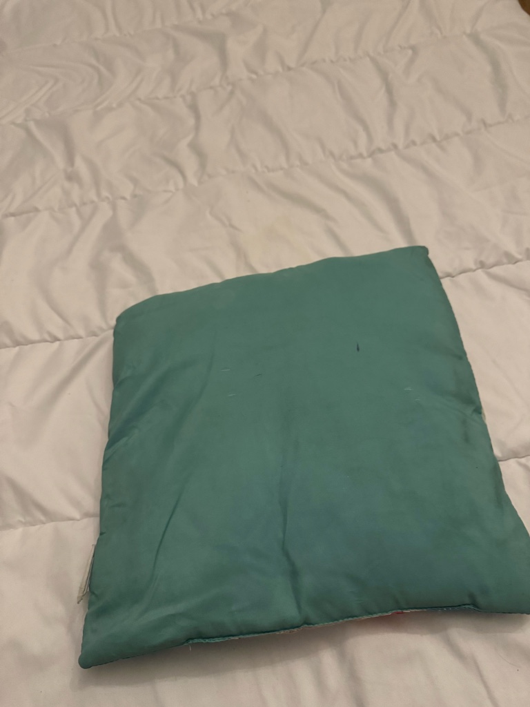 Coussin fille vaianna 