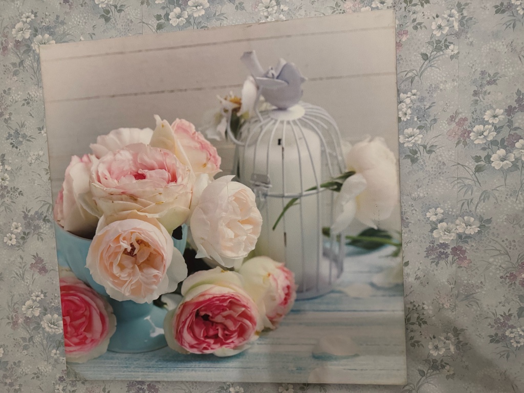 Tableaux en toile cage à oiseaux et fleurs 